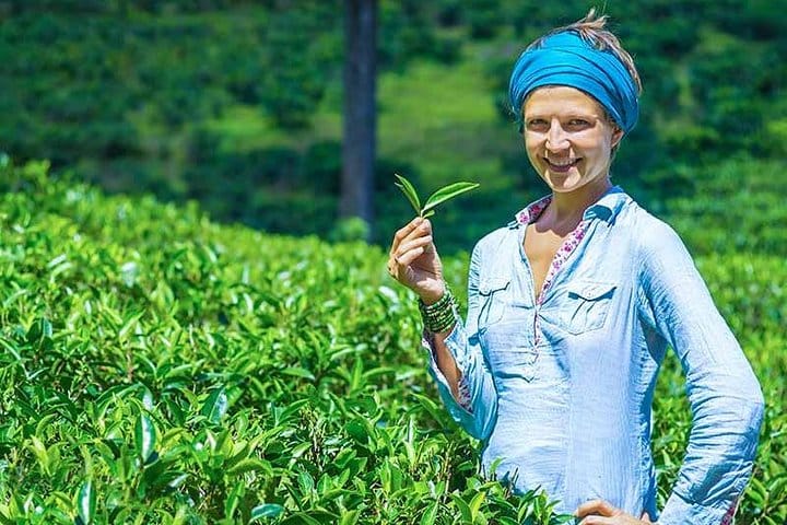 3 Days Hill Country Experience Sri Lanka