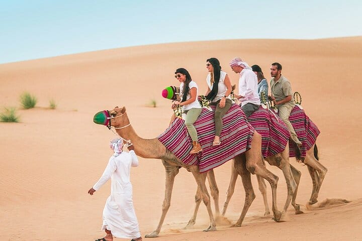 Camel Trekking In Abu Dhabi with Transfer, Fun and More 3