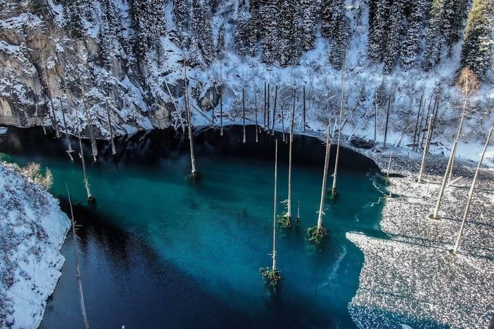 Remote mountain lake with crystal-clear water and flooded pine tree trunks
