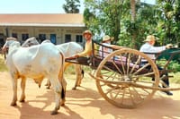 Village tour