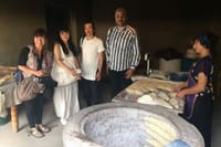 Private Full-Day Vintage Grape Harvest Festival with Lunch 7