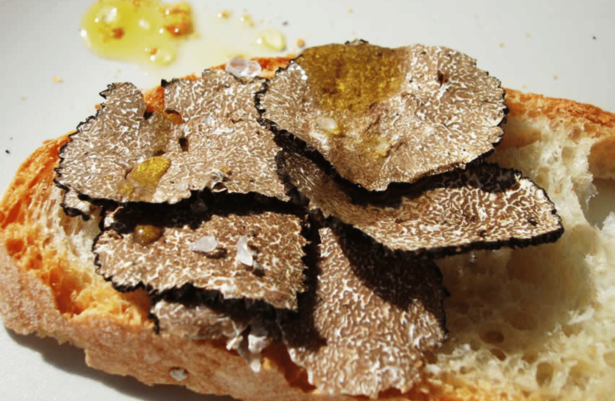 Perugia: Truffle Tasting & Museum Tour in Umbria