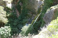 Explore the Hidden Beauty of Richtis Gorge on a Private Tour 9
