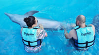 Dolphin Royal Connection  and manatee interaction en Cozumel 1