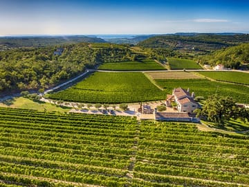 Private Istria Tour: Explore Rovinj and Charming Towns