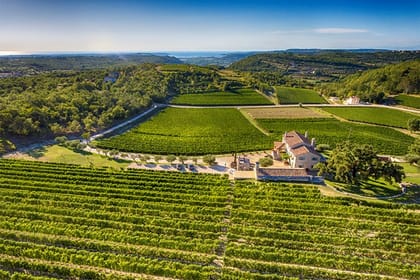 Private Symbols of Istria Tour – from Poreč and Rovinj