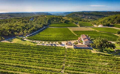 Private Istria Tour: Explore Rovinj and Charming Towns