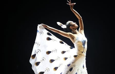 Private Cultural Night Tour with Dynamic Yunnan Show in Kunming