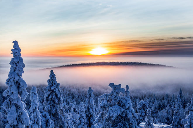 Further to the Wilderness - Rovaniemi photo 3