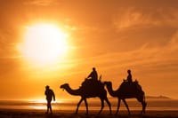 "Mogador Camel Expedition Ecotour | Private & Luxury 7