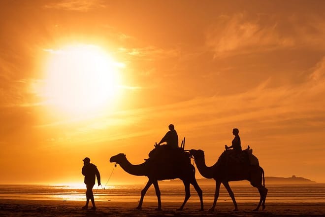 "Mogador Camel Expedition Ecotour | Private & Luxury 7