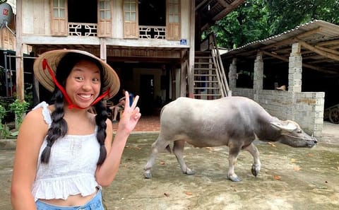 Mai Chau 2 Days 1 Night Pu Luong Adventure Group Tour from Hanoi