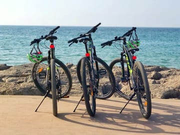 Cap Spartel Coastal E-Bike Tour