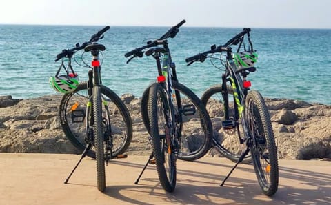 Cap Spartel Coastal E-Bike Tour