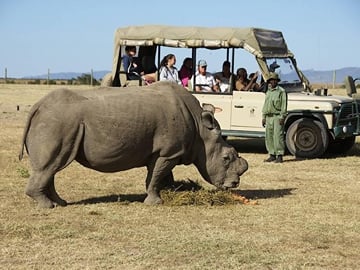 DAY TRIP TO OL PEJETA CONSERVANCY FROM NAIROBI