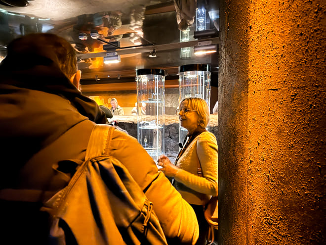 Cracow: Rynek Underground Museum Guided Tour 4