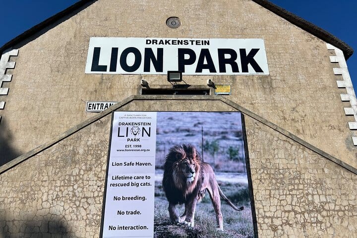 Giraffe Encounter and Lion Park with Wine Tasting in Stellenbosch