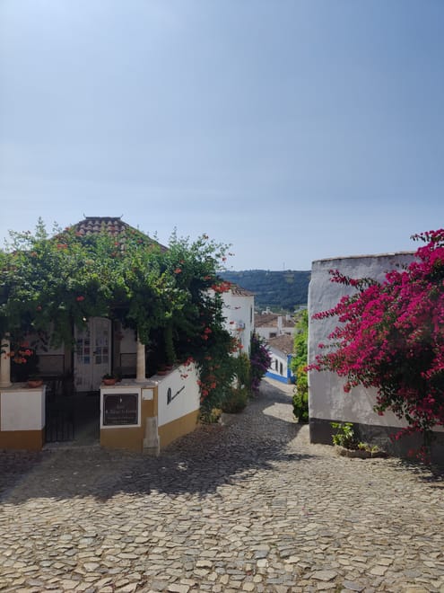 Private Fátima, Nazaré & Óbidos from Lisbon photo 4