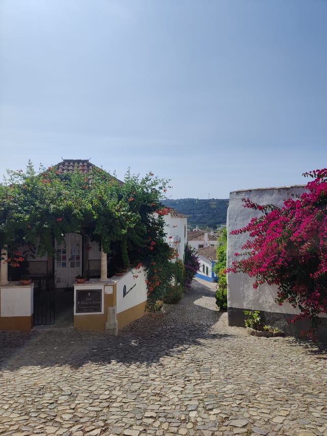 Private Fátima, Nazaré & Óbidos from Lisbon 4