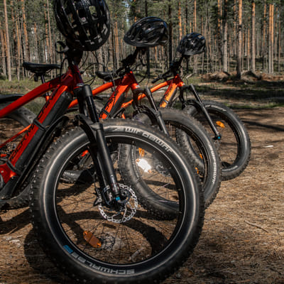 Electric Fat Biking at a Reindeer Farm in Rovaniemi - Image 3