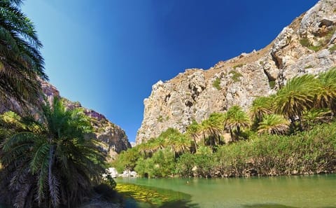 Full-Day Nature Tour to Preveli Palm Beach from Chania