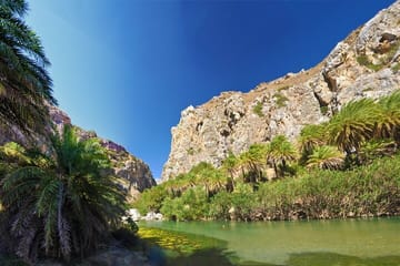 Full-Day Tour to Preveli Palm Beach From Chania