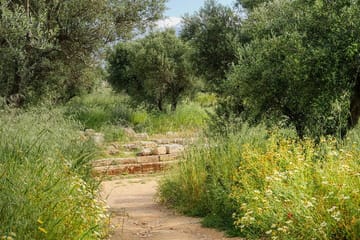 Private Half-Day Hiking Tour of Sarakina Gorge in Chania