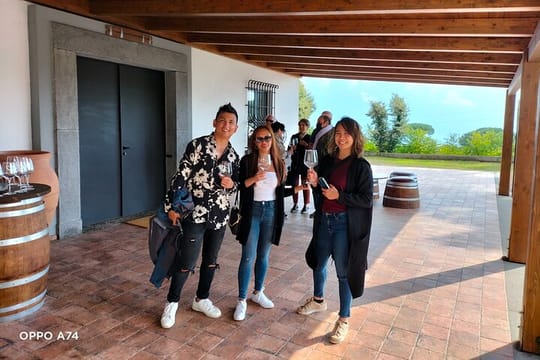 Naples Shore City Tour, Pompeii & Winery .