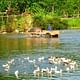 Pu Luong Nature Reserve 2 Days 1 Night Daily Depart From Hanoi