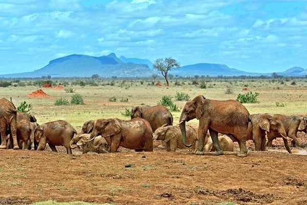 Things to do in Kilifi
