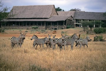 2-Day Wildlife Safari from Mombasa to Tsavo National Parks