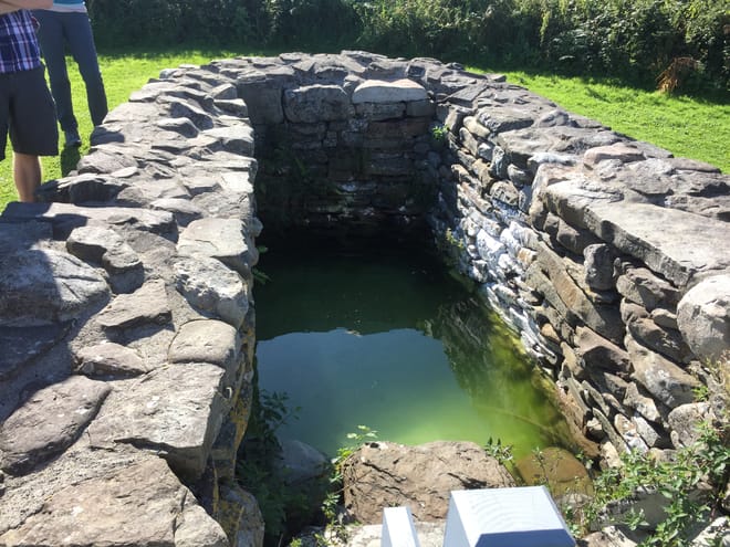 Visit to Scattery Island departing from Kilrush. Clare. Guided.  photo 6