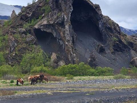 Wildcard Adventure - Private Tour, photo 8