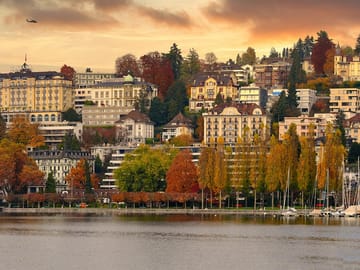 lucerne