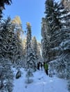Winter Wonderland Hike in a National Park 3