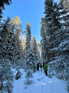 Winter Wonderland Hike in a National Park