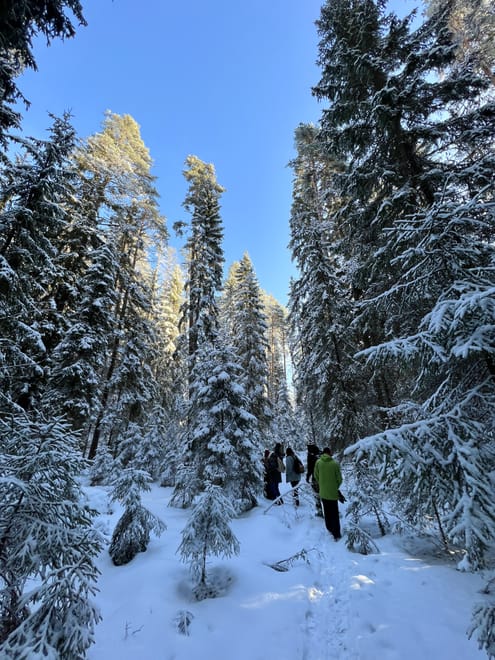 Winter Wonderland Hike in a National Park 3