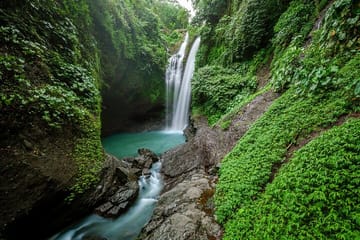 Munduk Waterfall Dolphin Watching and Snorkeling Tour