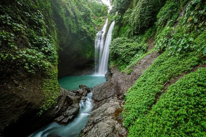 Munduk Waterfall Dolphin and Snorkeling Tour