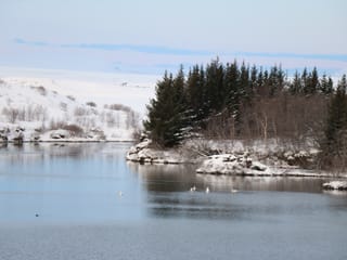 Lake Mývatn & Northern Ligths - Winter Combo , photo 8