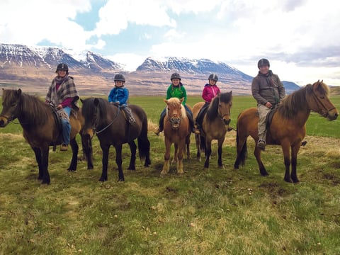 Pleasure in every hoof step