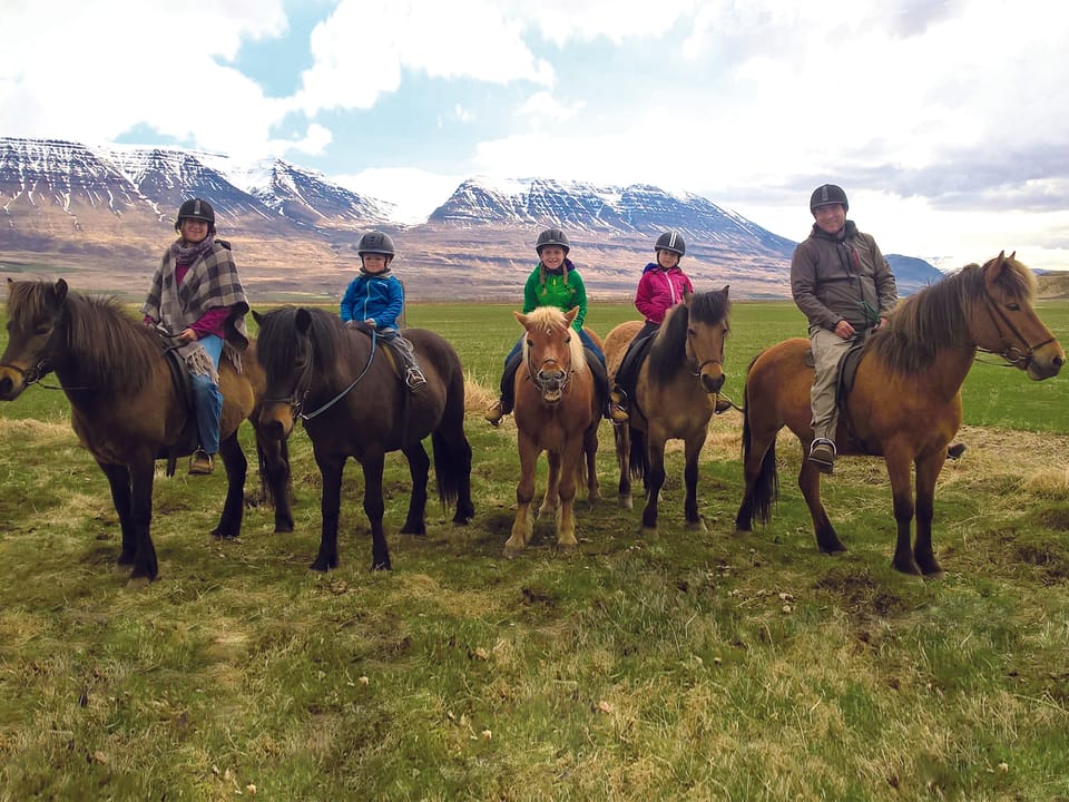 Pleasure in every hoof step — Hestasport