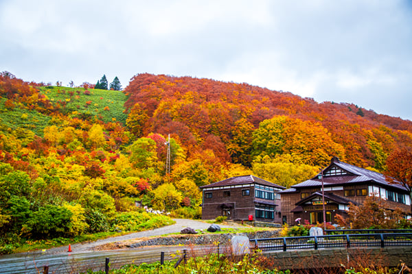 Aomori Custom Day Tour