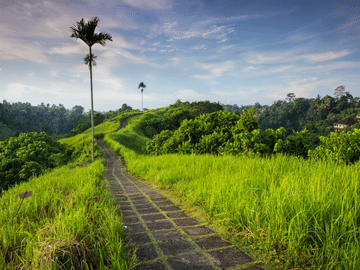 Borobudur – Prambanan Private Tour