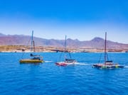 Whale Watching Catamaran in Costa Adeje 1