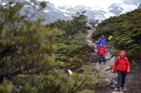 Emerald Lagoon Trekking from Ushuaia 3