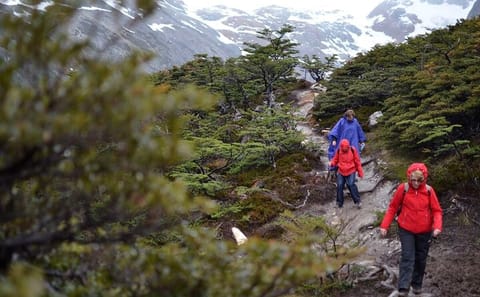 Emerald Lagoon Trekking Tour in Ushuaia, Argentina