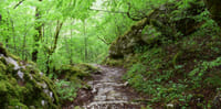 Zagori Bridges & Villages Hike  3