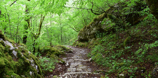 Zagori Bridges & Villages Hike  3