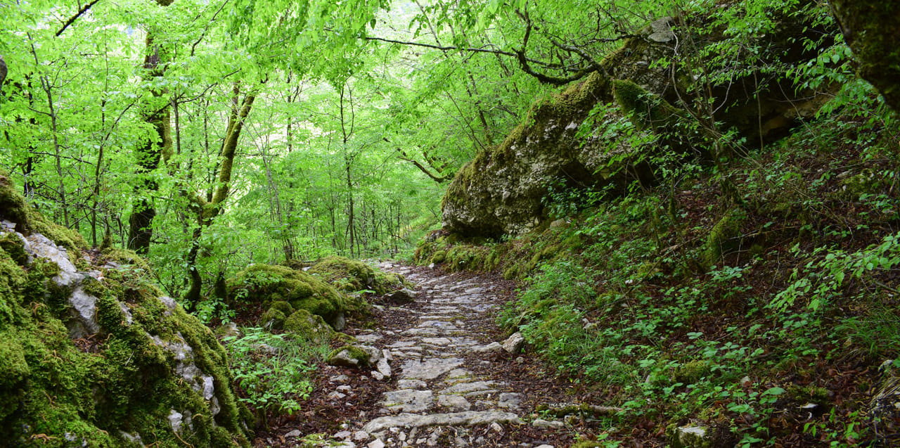 Zagori Bridges & Villages Hike  3